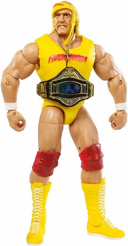 Hulk Hogan fans