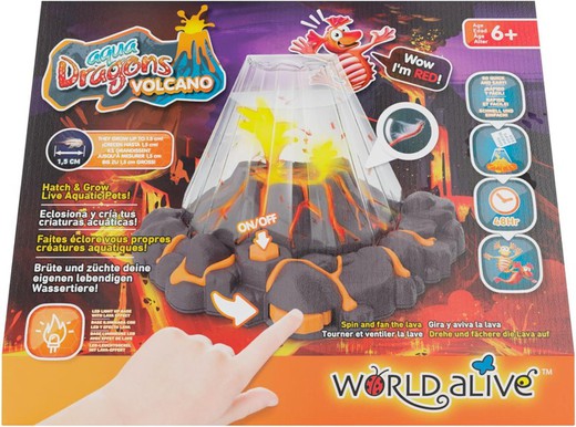 Aqua Dragons Vulcano