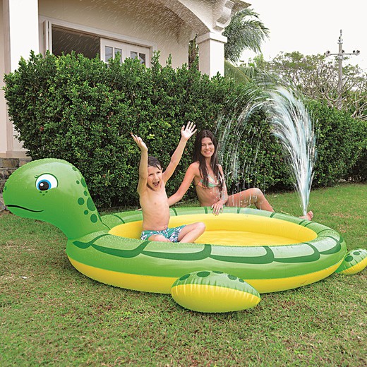 Giant Turtle Spray Pool