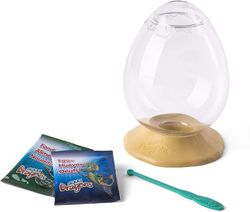 World Alive Aqua Dragons EGGspress