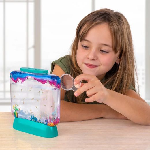 World Alive Aqua Dragons Unterwasserwelt