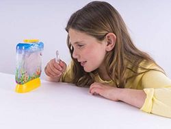 World Alive Aqua Dragons Sea Friends Kit