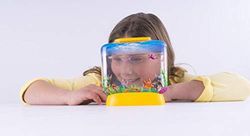 World Alive Aqua Dragons Sea Friends Kit