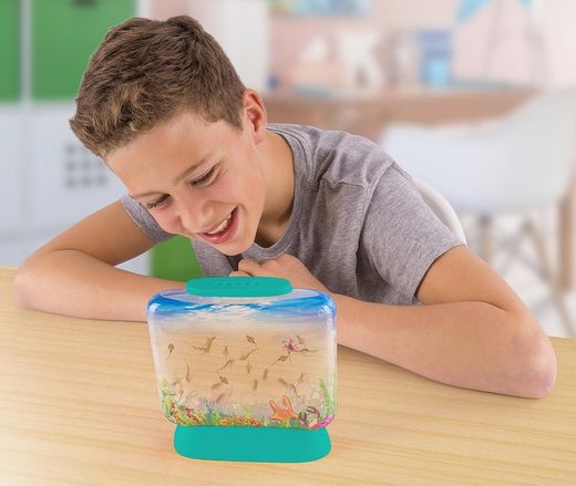 World Alive Aqua Dragons Sea Friends Kit