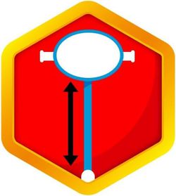 Spin Master Paw Patrol Dreirad-Scooter